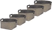 Storage Basket Set5 Willow D31xh20cmd37xh22cm D43xh23cm D47xh23cm D50xh24.5c