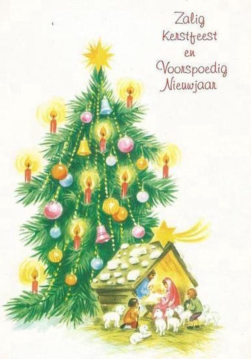 Kerstkaarten Zalig Kerstfeest nr 59 10 stuks