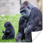 Poster Een grote Gorilla met zijn baby - 75x75 cm