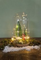 Kerst | Winter | Arrangement - Decoratie | in Stolp | Kerststolp | met Led verlichting - Sfeer - Kerstboom | Mos en Sneeuw | Cadeau