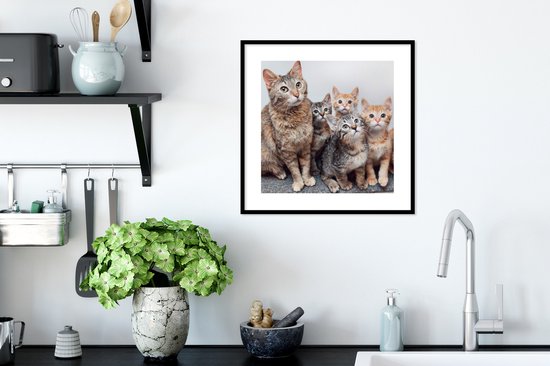 Affiche avec cadre Chat - Chatons - Fourrure - 40x40 cm