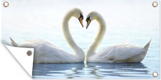 Décoration murale murale d'extérieur Cygnes - Coeur - Couple - 160x80 cm