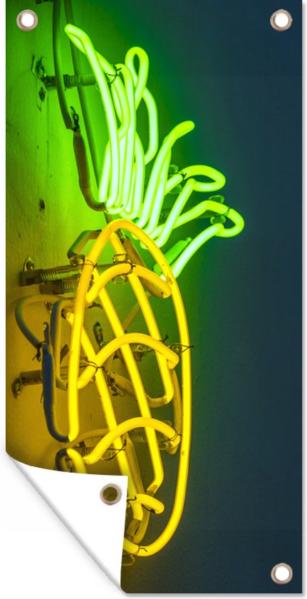 Tuinposter Ananas - Neon - Lamp - 30x60 cm - Tuindoek - Buitenposter