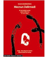 Mecnun Delirmedi