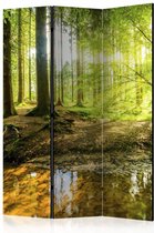 Vouwscherm - Zonlicht in het bos 135x172cm , gemonteerd geleverd (kamerscherm) dubbelzijdig geprint