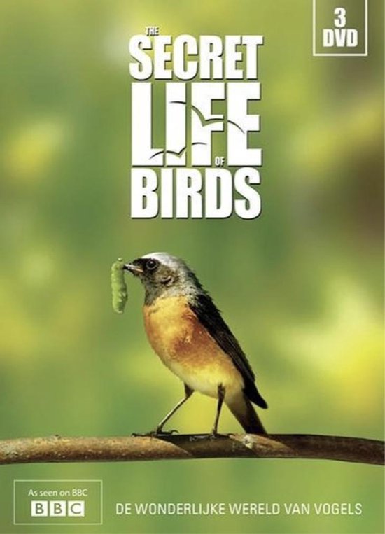 The secret life of birds