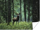 Edelhert in het bos Poster 40x30 cm - klein - Foto print op Poster (wanddecoratie woonkamer / slaapkamer) / Wilde dieren Poster