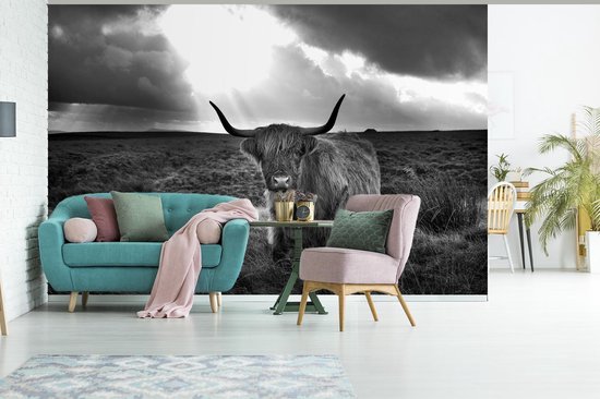 Papier peint - Papiers Papier peint photo Rayons de soleil brillent sur Highlander écossais - noir et blanc - Largeur 525 cm x hauteur 350 cm