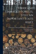 Hurricane Damaged Forests, Still an Important State Asset