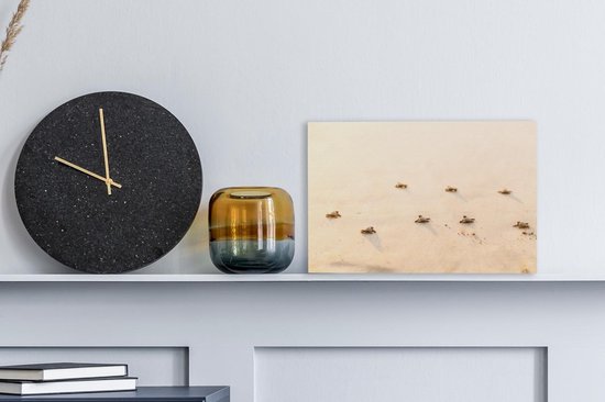 Bébé tortues toile 30x20 cm - petit - Tirage photo sur toile (Décoration murale salon / chambre) / Peintures sur toile Animaux