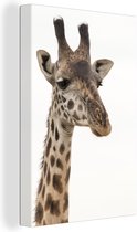 Canvas Schilderij Giraffe - Dier - Wit - 120x180 cm - Wanddecoratie XXL