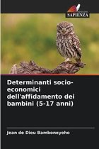 Determinanti socio-economici dell'affidamento dei bambini (5-17 anni)
