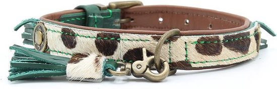 Dwam Halsband Ivy Groen - Hondenhalsband - 34-42x2.5 cm