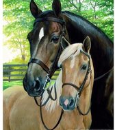 Diamond Painting Volwassenen Paarden - 50x70 cm - Vierkante steentjes - Volledig te beplakken - Compleet Hobbypakket