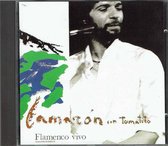 Flamenco Vivo (1987)