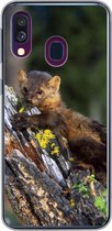 Coque Samsung Galaxy A40 - Martre - Arbre - Forêt - Coque de téléphone en Siliconen