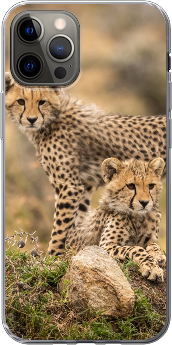Telefoonhoesje Geschikt voor iPhone 13 Pro hoesje - Luipaard - Jong - Natuur - Siliconen Telefoonhoesje Telefoonhoesje