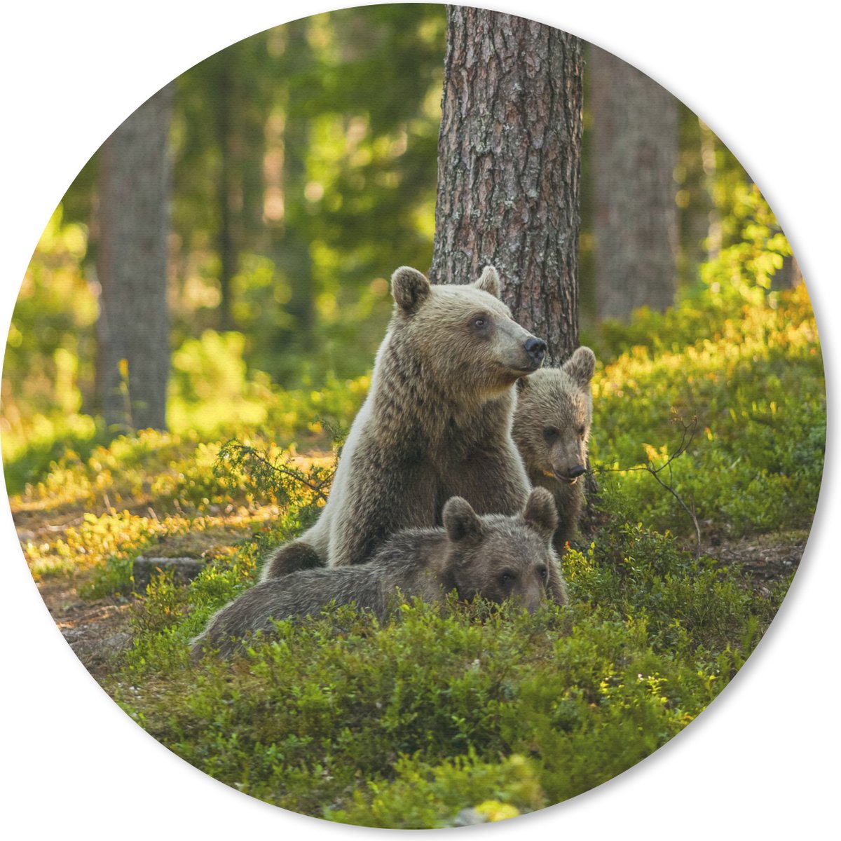 Muismat rond 20x20 cm - Mousepad Beer - Bruin - Bos - Ronde muismatten