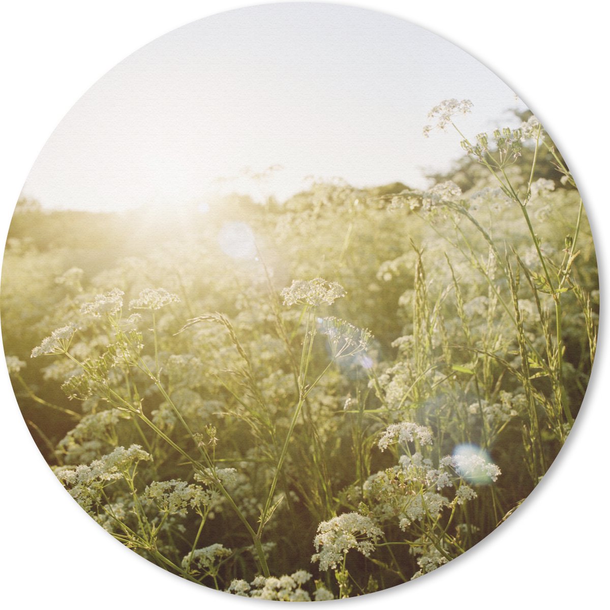 Muismat rond 20x20 cm - Mousepad Bloemen - Wit - Lente - Ronde muismatten