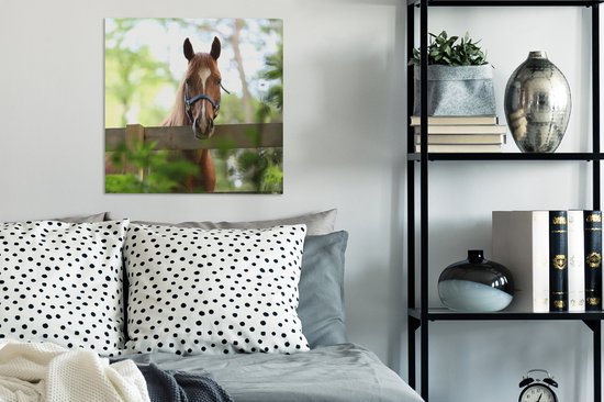 Tableau sur toile Cheval - Nature - Clôture - 50x50 cm - Décoration murale