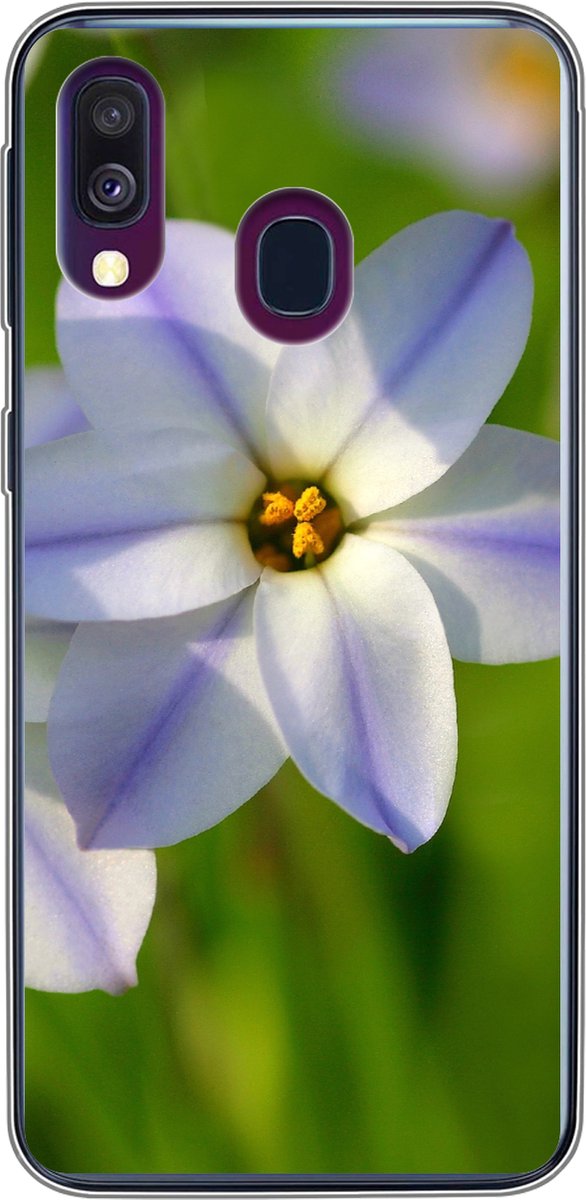 Telefoonhoesje Geschikt voor Samsung Galaxy A40 hoesje - Bloemen - Tuin - Paars - Siliconen Telefoonhoesje Telefoonhoesje