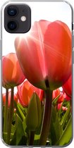 Geschikt voor iPhone 12 mini hoesje - Bloemen - Tulpen - Zon - Siliconen Telefoonhoesje