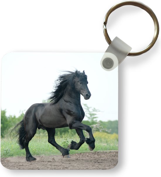 Sleutelhanger - Uitdeelcadeautjes - Paard - Zwart - Natuur - Plastic