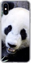 Geschikt voor iPhone X hoesje - Panda - Dier - Bladeren - Siliconen Telefoonhoesje