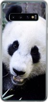 Geschikt voor Samsung Galaxy S10 hoesje - Panda - Dier - Bladeren - Siliconen Telefoonhoesje