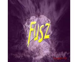 Fusz - Hypocrisy (CD)