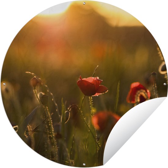 Garden Circle Poppy - Sunset - Or - 90x90 cm - Affiche de Jardin Ronde - Extérieur
