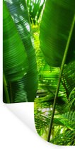 Muurstickers - Sticker Folie - Tropische bladeren in jungle fotoprint - 60x120 cm - Plakfolie - Muurstickers Kinderkamer - Zelfklevend Behang - Zelfklevend behangpapier - Stickerfolie