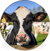 WallCircle - Cercle Mural - Cercle Mural - Vache - Clôture - Herbe - Animaux - Aluminium - Dibond - 90x90 cm - Intérieur et Extérieur