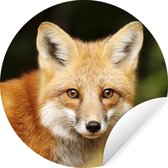WallCircle - Muurstickers - Behangcirkel - Vos - Puppy - Portret - 50x50 cm - Muurcirkel - Zelfklevend - Ronde Behangsticker