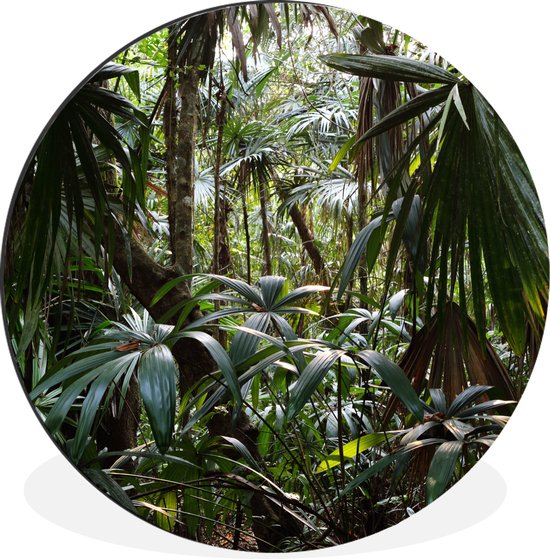 WallCircle - Wandcirkel - Muurcirkel - Planten in regenwoud - Aluminium - Dibond - ⌀ 90 cm - Binnen en Buiten
