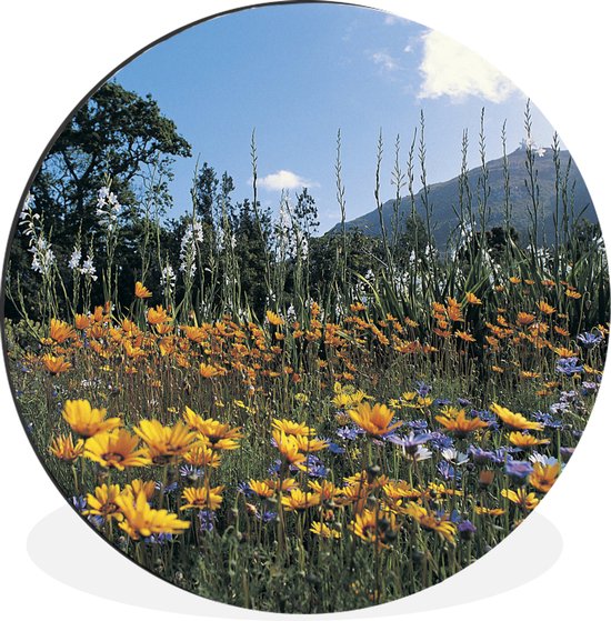 Cercle mural - Cercle mural - Fleurs - Nature - Couleur - Aluminium - ⌀ 90 cm - Intérieur et Extérieur