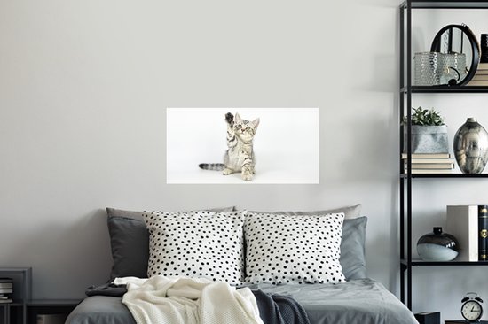 Stickers muraux - Chaton - Patte - Wit - 80x40 cm - Film Adhésif