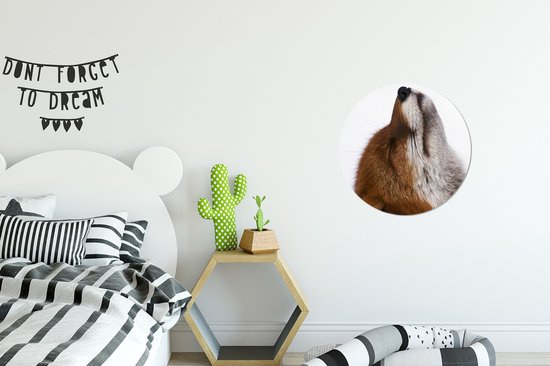 Cercle mural - Cercle mural Indoor - ⌀ 30 cm - Plastique - Renard - Nez - Wit