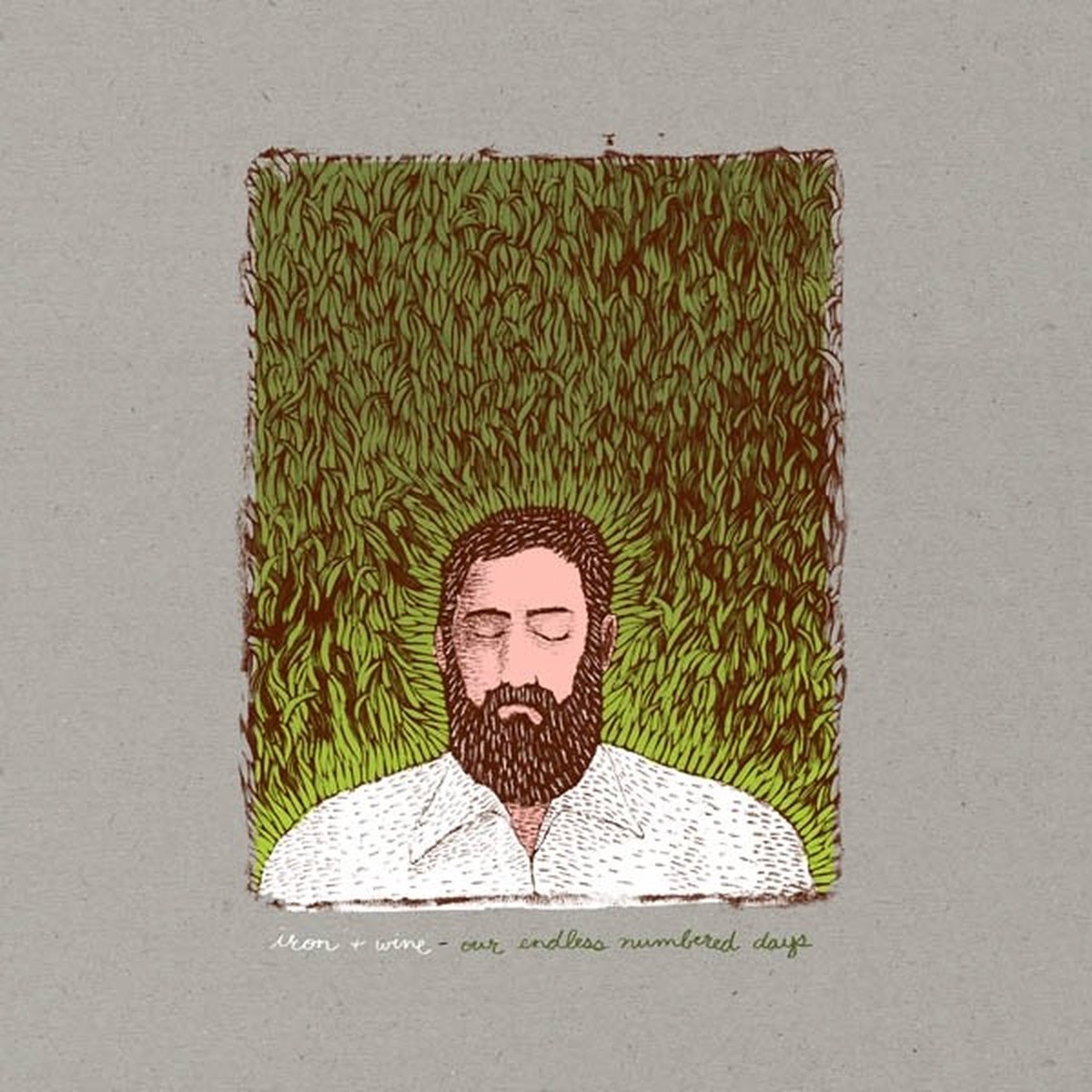 Iron & Wine - Our Endless Numbered Days (2 LP) (Deluxe Edition)