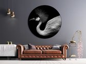 Textirieur Muurcirkel Flamingo Black 120CM