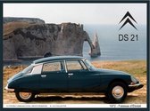 metalen reclamebord Citroën DS 21 zee reliëf 20x30 cm