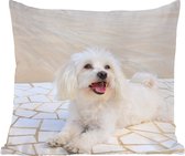 Sierkussen - Een Maltezer Hond Ligt Op Een Pad - Multicolor - 40 Cm X 40 Cm
