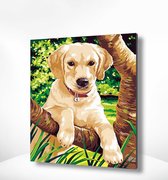 Painting Expert® Schilderen op nummer Volwassenen - Schilderen op nummer Kinderen - Puppy Labrador - 40x50cm - Exclusief Lijst (24 kleurtjes)