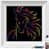 Artstudioclub®  Diamond painting volwassenen 30x30 cm Kleurijk paard