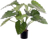 Olifantsoor - Alocasia - calidora - kunstplant - 14 bladeren - H. 60 cm - Ø 70 cm - in pot