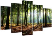 Trend24 - Canvas Schilderij - Zonnestralen In Het Bos - Vijfluik - Landschappen - 100x70x2 cm - Blauw