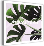 Trend24 - Canvas Schilderij - Exotische Bladeren - Monstera - Schilderijen - Quotes - 50x50x2 cm - Groen