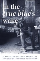 The American South Series- In the True Blue’s Wake
