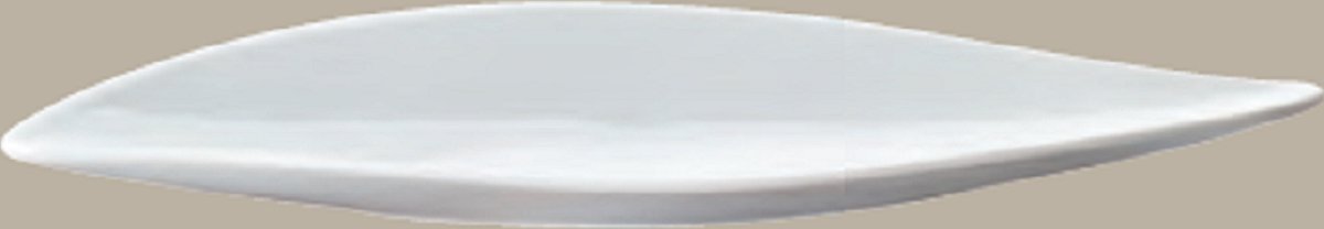 Apilco - Coupe - Nieuwjaars tip - Serveerschaal - Tapas - Sushi - Langwerpige vorm - 34.5CM - Wit - Frans - Porselein - Set a 2 stuks