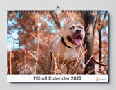 Pitbull kalender 2023 | 35x24 cm | jaarkalender 2023 | Wandkalender 2023